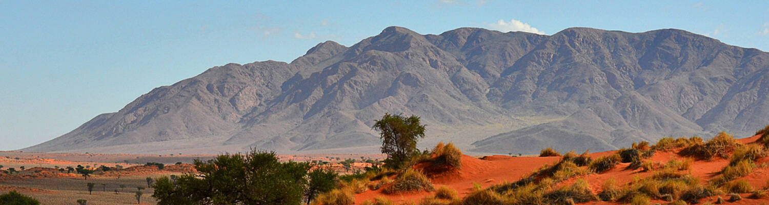 Decolonizing the Mind: Racial and Environmental Justice
