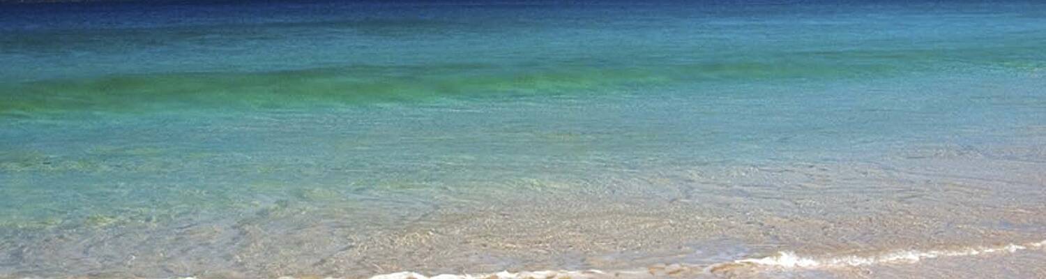 Language Travel for Adults in Lanzarote &amp; Canary Islands, Spain
