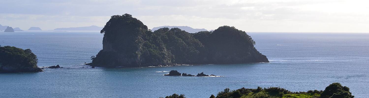 AIFS Abroad in Wellington, New Zealand: Semester
