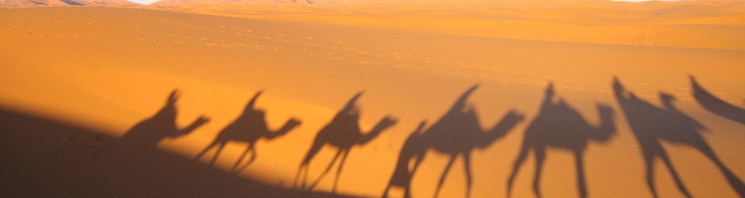 Cross-Cultural Solutions: Volunteer Abroad in Morocco
