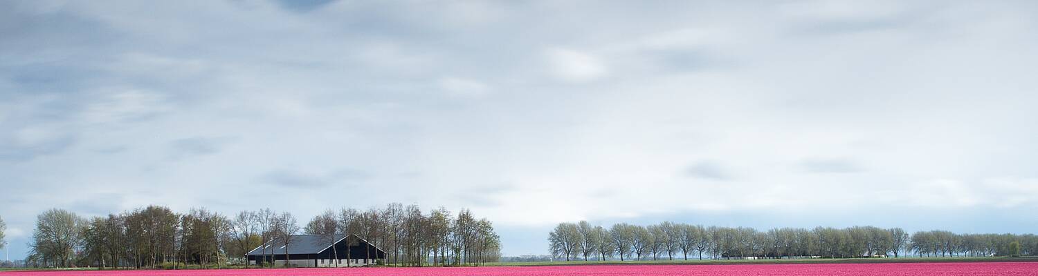 Netherlands Rural Exchange
