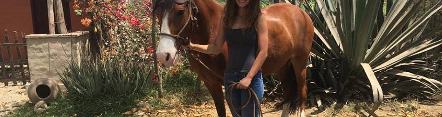 Volunteering with Horses in Peru
