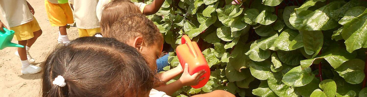 Volunteering on Productive Patios in Columbia
