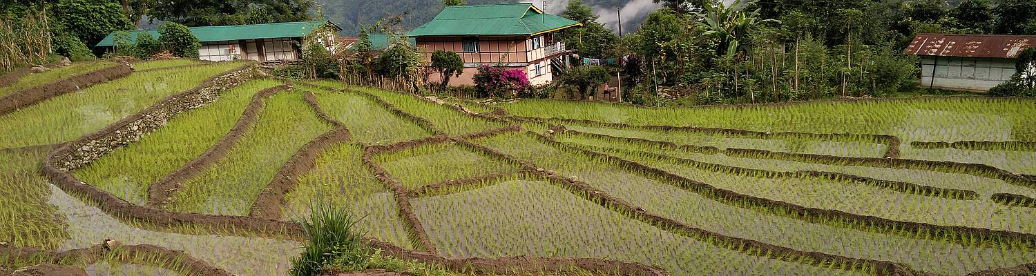 Volunteer, Explore &amp; Evolve -Living in Rural India with Nativefolks
