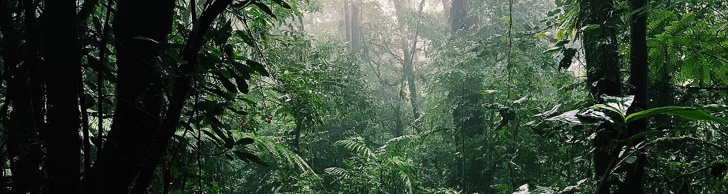 SFS Costa Rica: Fundamentals of Sustainability Research (Summer II)
