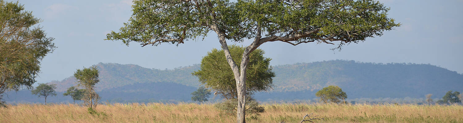 Projects Abroad: Internships in Tanzania

