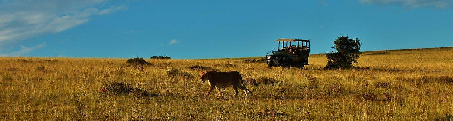 Kaya Volunteer Programs in South Africa
