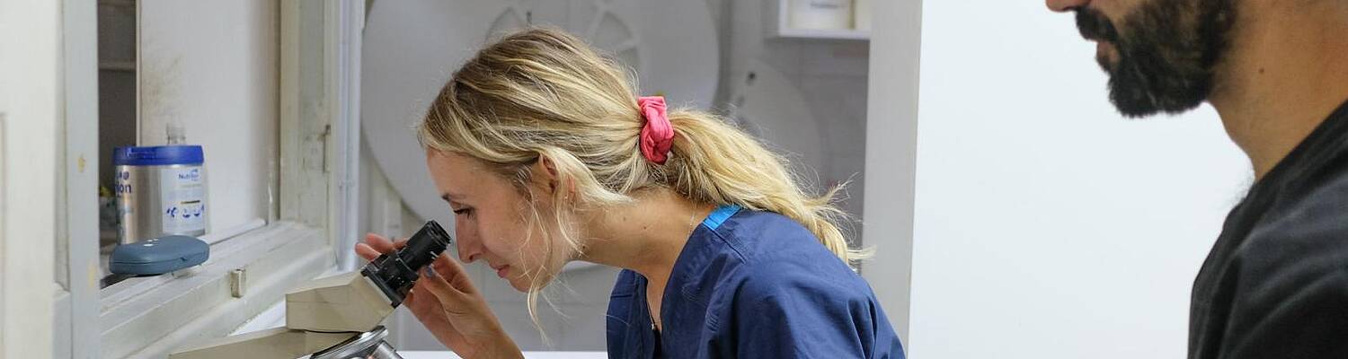 Projects Abroad: Internships in Argentina
