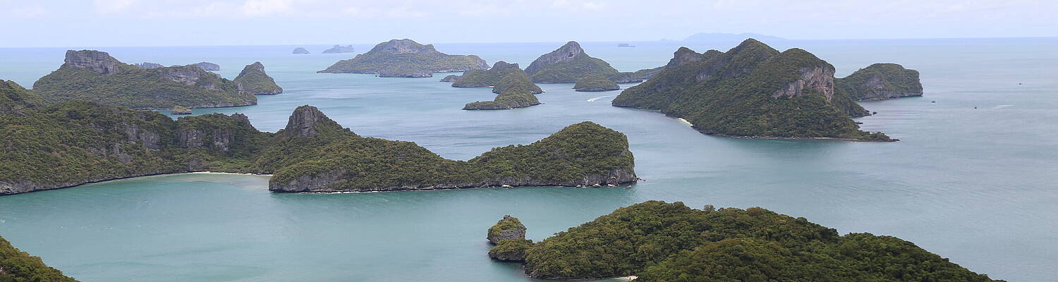Study Abroad in Thailand
