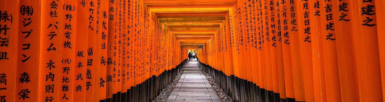 Asia Internships 
