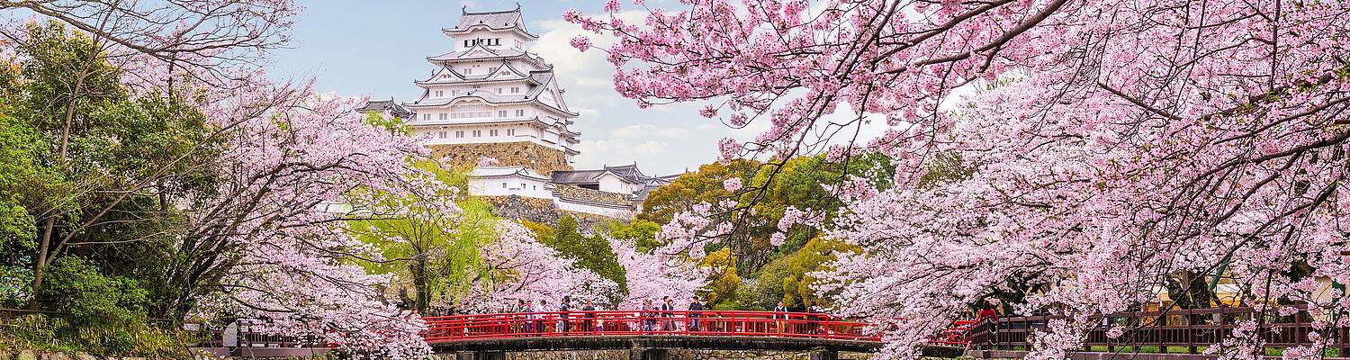 Study in Japan – Live life in the future 

