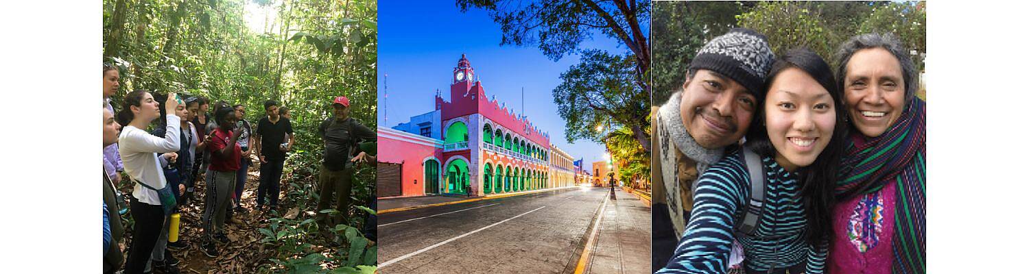 Arcadia Abroad in Latin America
