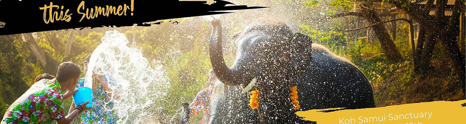 Make an Impact in Thailand! Volunteer at an Elephant Sanctuary
