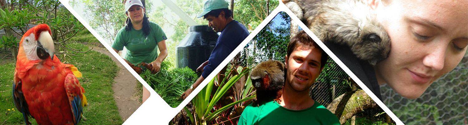 Amazon Animal Rescue Volunteer
