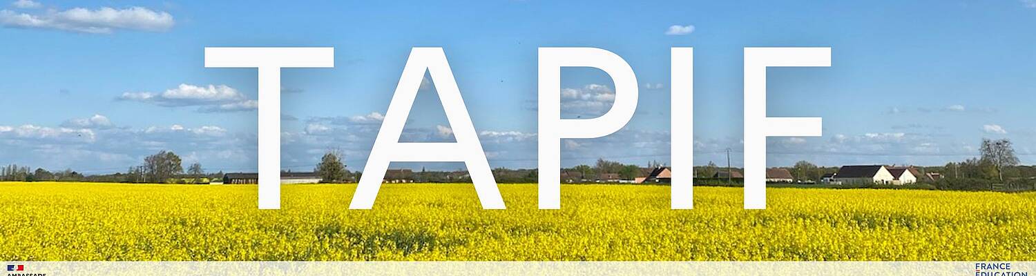 Teach English with TAPIF in France
