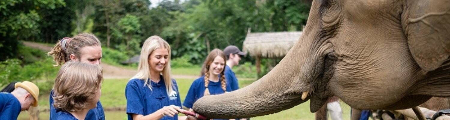 Volunteer Programs in Thailand | Best Volunteer Projects
