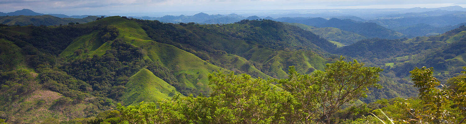 CIEE College First Year Abroad in Monteverde
