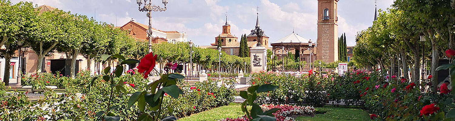 CIEE College Study Abroad in Alcala de Henares, Spain

