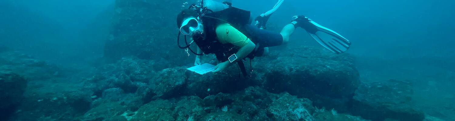 Dive Instructor Training Costa Rica
