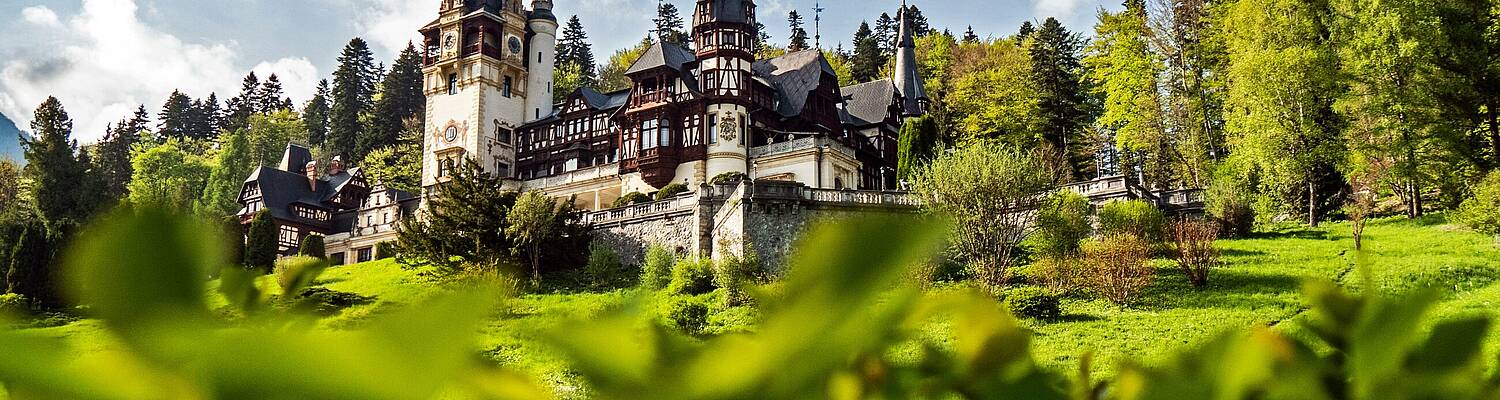 Volunteer in Romania with Globe Aware
