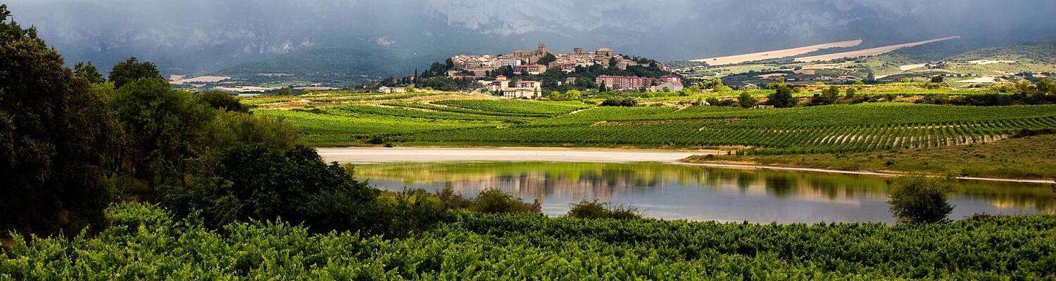 Spanish for Seniors in La Rioja
