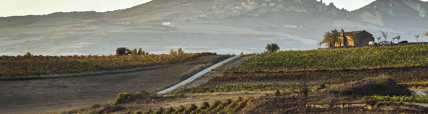 Study Spanish in the Ideal Wineland of La Rioja

