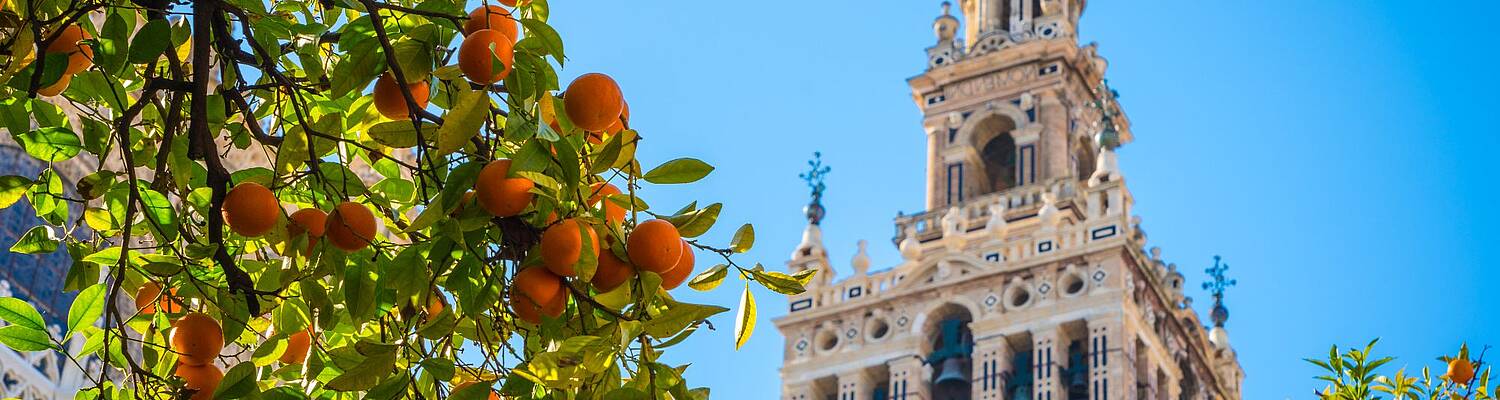SSA: Sevilla, Spain
