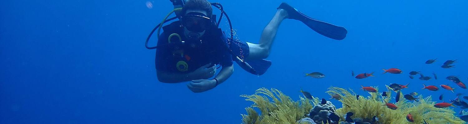Restoring Coral Reefs in Bali
