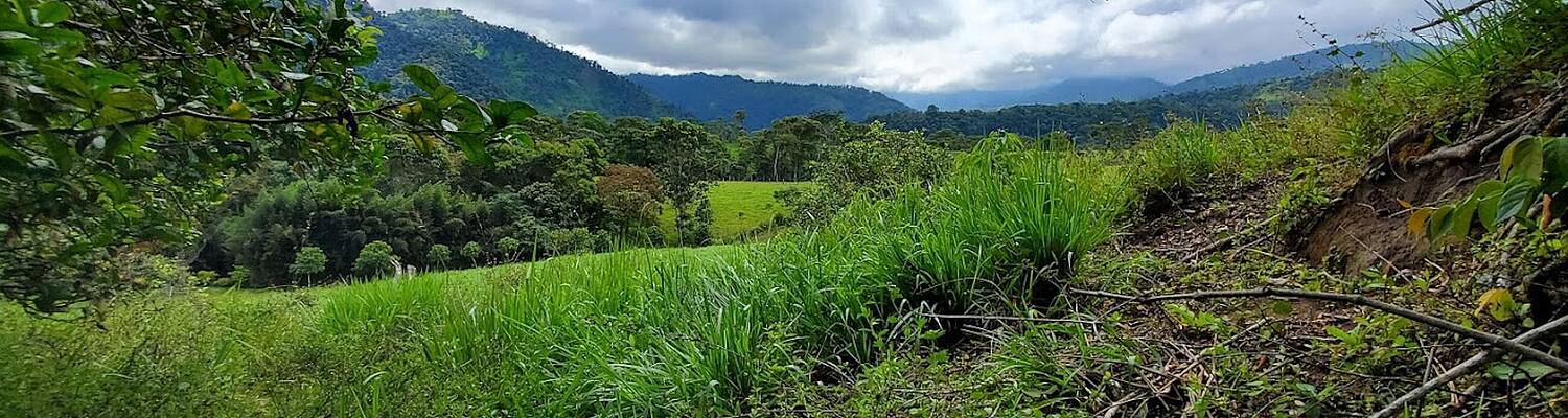 Make a REAL difference in Ecuador with Love Volunteers!
