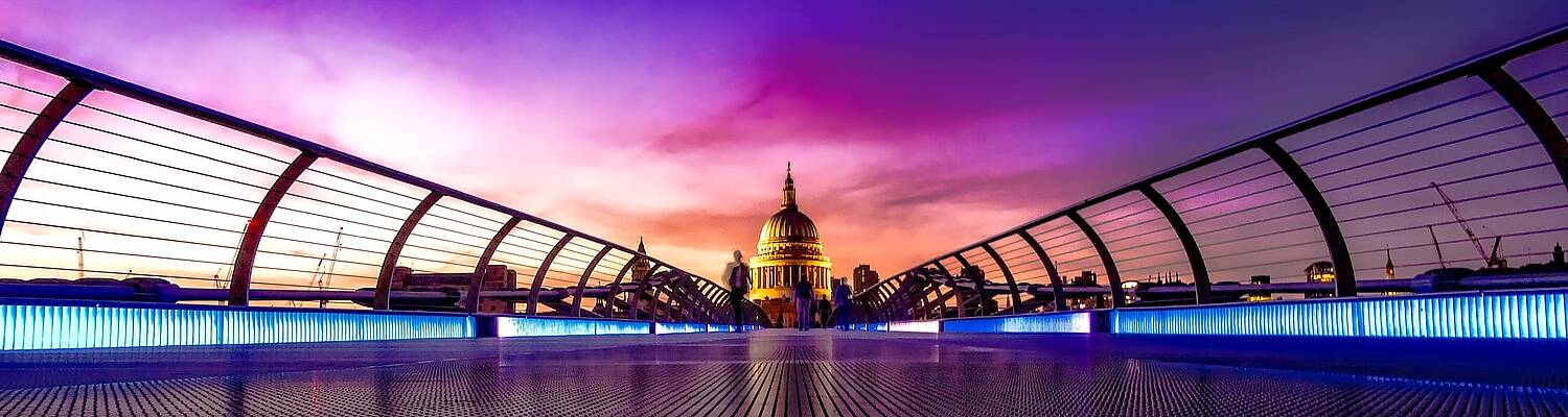 World Scholars Academy | Medicine Summer Courses
