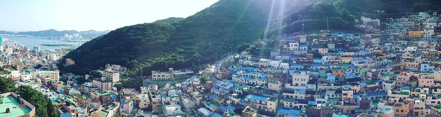 Teach English in South Korea with Greenheart Travel
