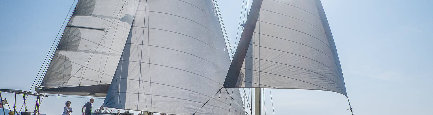 Marine Research Sailing Expedition
