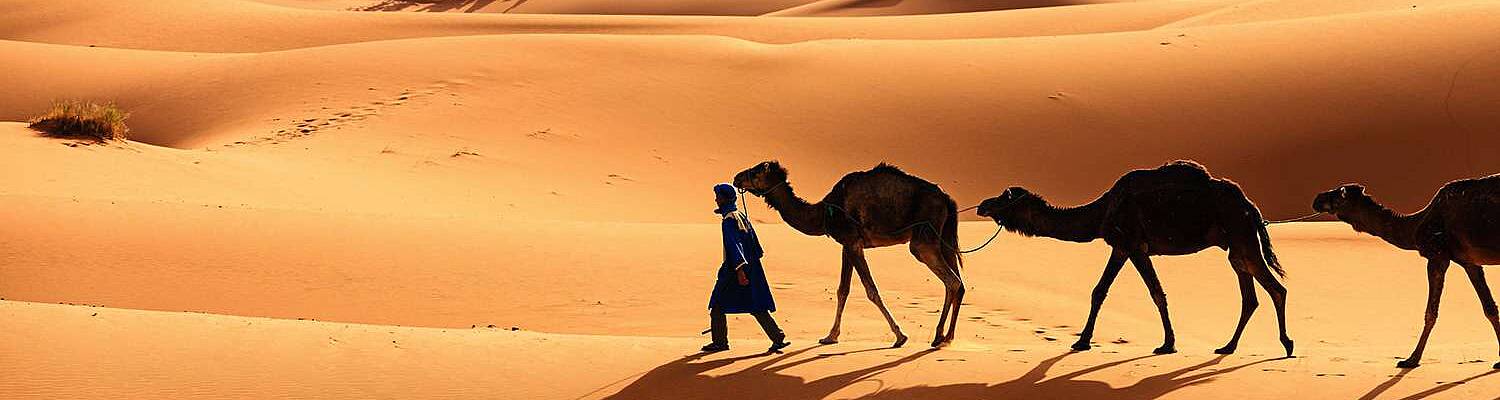 4 Day Morocco Desert Tour
