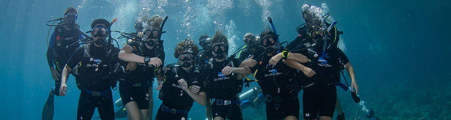 Marine Conservation &amp; Reef Monitoring Field Program | Pacific Discovery
