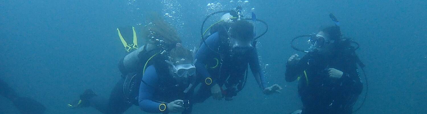 Marine Scientist Training in Costa Rica 
