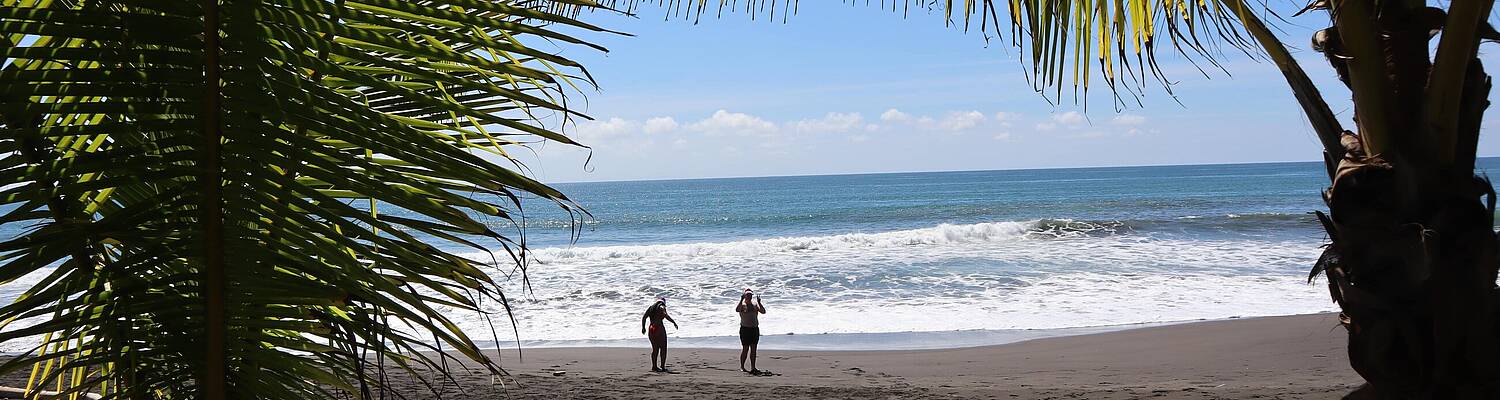 Xplore Costa Rica In-Country TEFL + Placement Program
