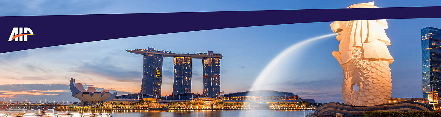 Internship in Singapore by Asia Internship Program
