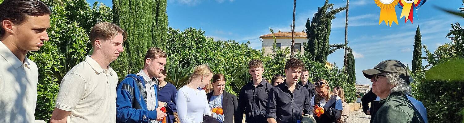 Spanish immersion vacations - study trips for groups
