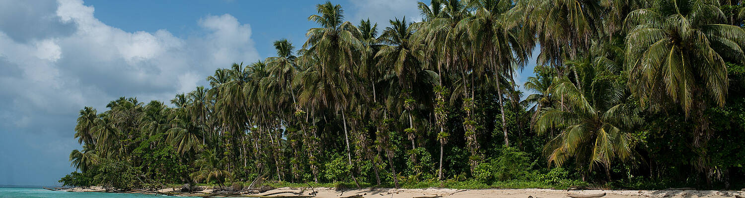 SFS Study Abroad: Tropical Island Biodiversity in Panama
