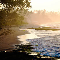 Gap year in Sri Lanka