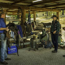Horse riding Australia