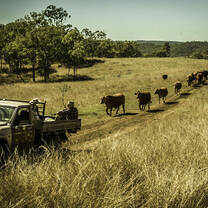Cattle station Australia