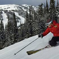 ski