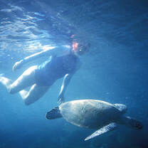 Australia Summer Program with Pacific Discovery