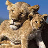 South Africa