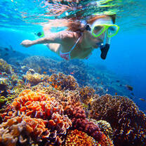 Girl snorkeling