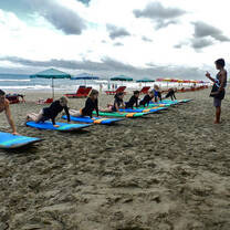 Surf