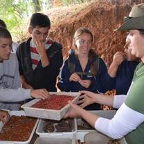 Organic Farming in Brazil with The Experiment summer abroad