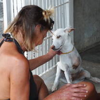 Veterinary & Animal Welfare Project - Thailand