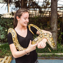  Affordable Wildlife and Animal Care Projects with IVHQ